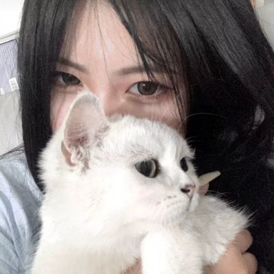 穿上军装小游戏下载